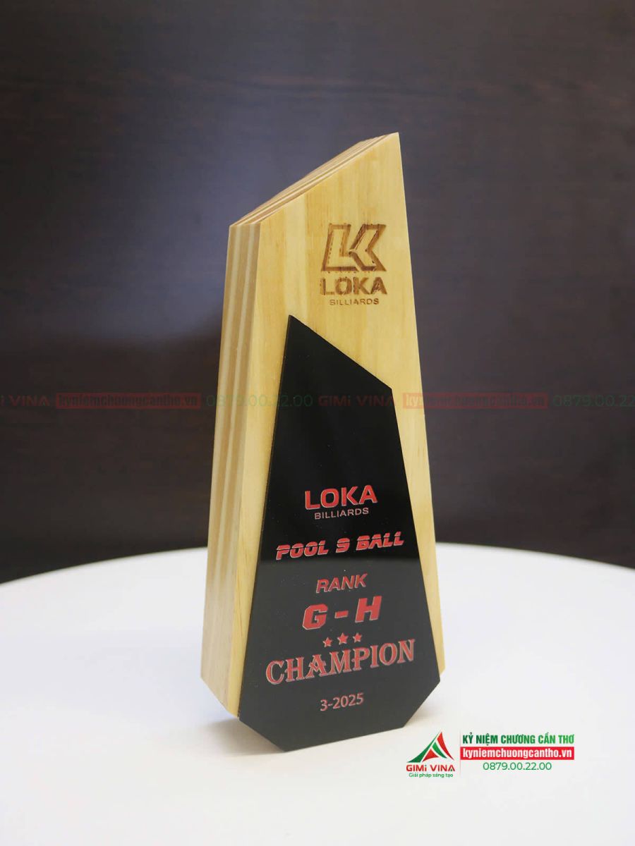 Kỷ niệm chương gỗ thông cao cấp GM08