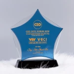 Kỷ niệm chương thủy tinh