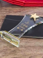 Kỷ niệm chương pha lê - PL265 1
