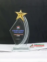 Kỷ niệm chương pha lê Billiard PL325-01 0