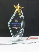 Kỷ niệm chương pha lê Billiard PL325-01 1
