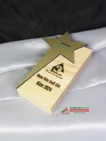 Kỷ niệm chương gỗ GM17 - Gỗ thông cao cấp 13