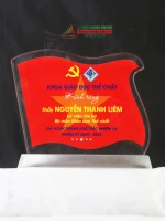 Kỷ niệm chương hình Lá Cờ Việt Nam PL338 0