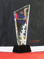 Kỷ niệm chương pha lê vinh danh  hoạ tiết 5 ngôi sao PL336 5