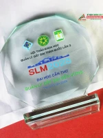 Kỷ niệm chương pha lê bát giác - PL345 5