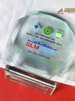 Kỷ niệm chương pha lê bát giác - PL345 6