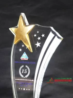 Kỷ niệm chương pha lê - PL295 7