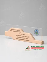 Kỷ niệm chương gỗ kết hợp Acrylic trong suốt KNCG-16 1