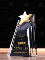 Kỷ niệm chương pha lê - PL204 0