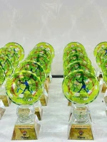 Kỷ niệm chương Pickleball PK001 5