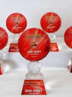 Kỷ niệm chương Pickleball PK001 2