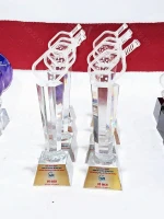 Kỷ niệm chương Pickleball PK003 0