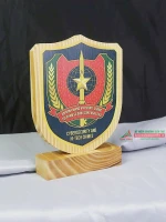 Kỷ niệm chương gỗ GM25 3