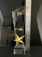 Kỷ niệm chương pha lê PL337  0