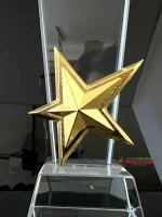 Kỷ niệm chương pha lê PL337  2