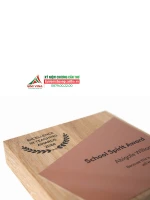 Kỷ niệm chương gỗ nhôm GM28 quà tặng vinh danh cao cấp 1