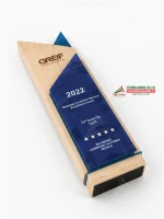 Kỷ niệm chương gỗ KNCG-12 quà tặng vinh danh cao cấp 1