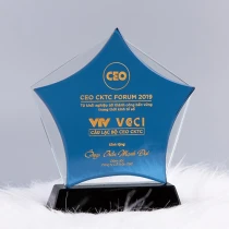 Kỷ niệm chương thủy tinh