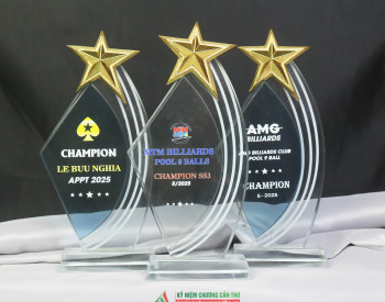 Top mẫu Kỷ niệm chương Bida, Billiard được ưa chuộng nhất