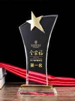 Kỷ niệm chương pha lê - PL265