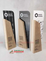 Kỷ niệm chương GM06 bằng gỗ thông cao cấp 