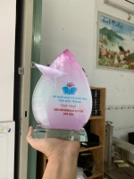 Kỷ niệm chương pha lê - PL255