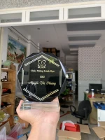 Kỷ niệm chương pha lê - PL254