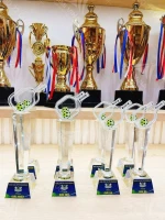 Kỷ niệm chương Pickleball PK003