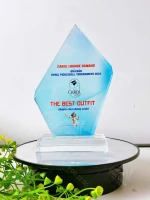 Kỷ niệm chương Pickleball PK006