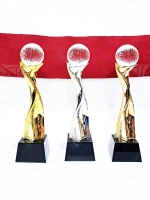 Kỷ niệm chương Pickleball PK007