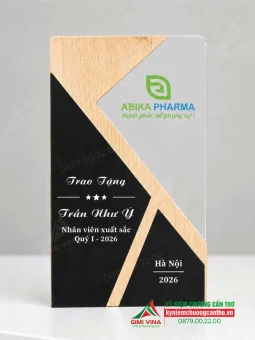 Kỷ niệm chương gỗ KNCG-13 quà tặng vinh danh cao cấp