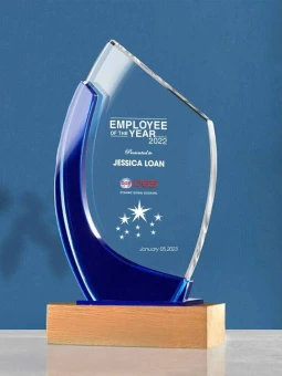 Kỷ niệm chương pha lê đế gỗ PLG009