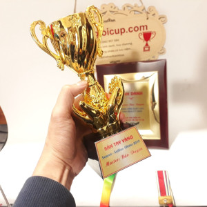 Cúp kim loại - KL209