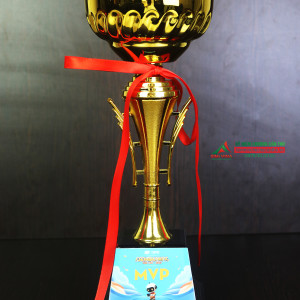 Cúp thể thao kim loại mạ vàng - KL213