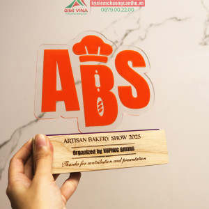 Kỷ niệm chương gỗ thông kết hợp Mica GM26