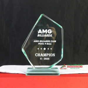 Kỷ niệm chương thuỷ tinh TT57002