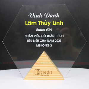 Kỷ niệm chương GM12 chất liệu gỗ tự nhiên và acrylic cao cấp