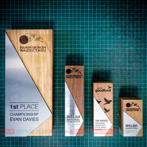 Kỷ niệm chương gỗ GM12S gỗ tự nhiên và aluminum cao cấp