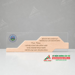 Kỷ niệm chương gỗ kết hợp Acrylic trong suốt KNCG-16 