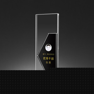 Kỷ niệm chương pha lê - PL264