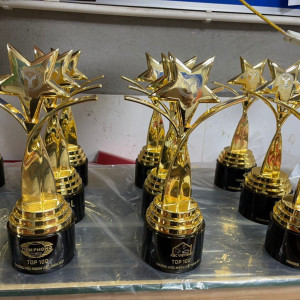 Cúp kim loại - KL208