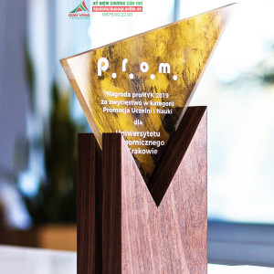 Kỷ niệm chương GM24 gỗ tự nhiên kết hợp acrylic cao cấp