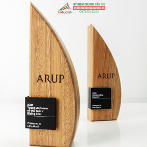 Kỷ niệm chương gỗ GM21 gỗ tự nhiên và acrylic cao cấp