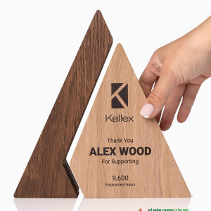 Kỷ niệm chương gỗ hình tam giác GM26