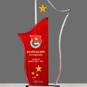 Kỷ niệm chương pha lê Đại Hội - PL358