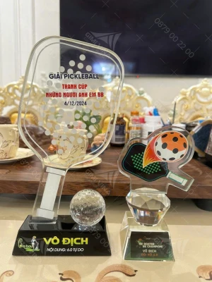 Kỷ niệm chương Pickleball PK004