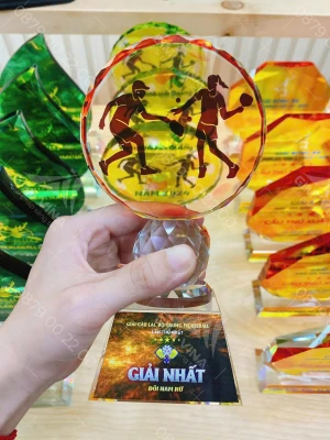 Kỷ niệm chương Pickleball PK001