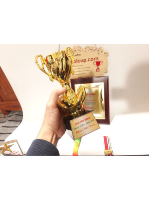 Cúp kim loại - KL209