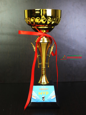 Cúp thể thao kim loại mạ vàng - KL213