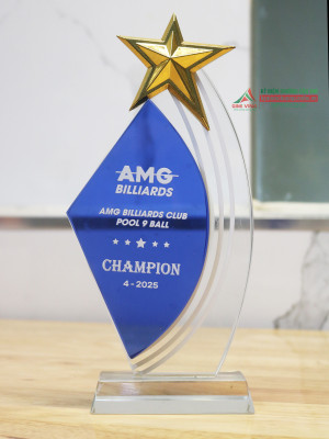 Kỷ niệm chương pha lê cao cấp PL325 